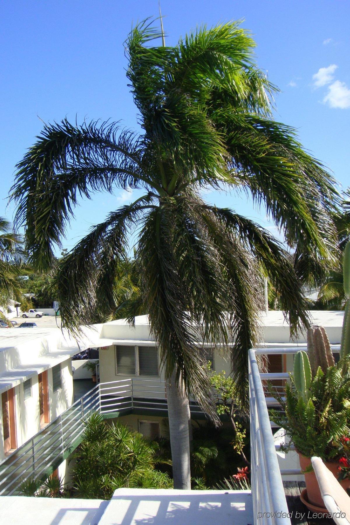El Patio Motel Key West Exterior photo